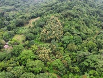 El Salto: Se Vende Granja en Zona Rural, en la Montaña y Cerca del Mar en Canoa