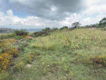 El Saucito Venta de 12,415 m2 Con Casa rustica y servicios disponibles