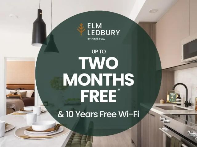 Elm Ledbury