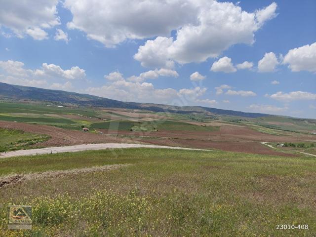 ELMADAĞDA 13DÖNÜM 12902M2 ASFALTYOL KENARI TEKTAPU ARAZİ