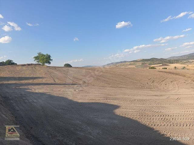 ELMADAĞDA 4255M2 KELEPİR ARAZİ İLK GELEN ALIR
