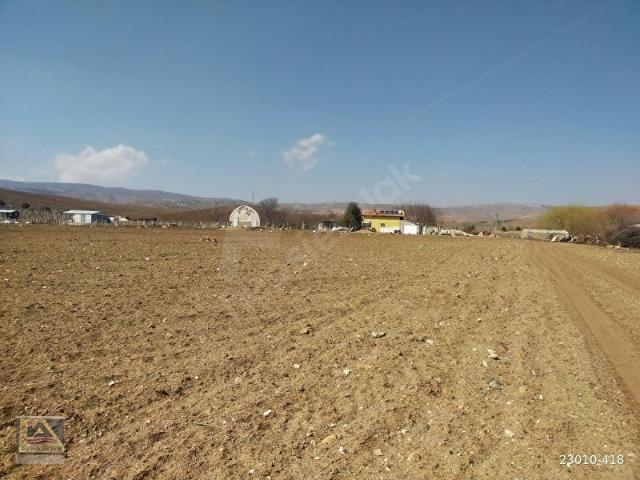 ELMADAĞ EDİGEDE 73553M2 74DÖNÜM TEK TAPU YOLCEPHELİ ARAZİ