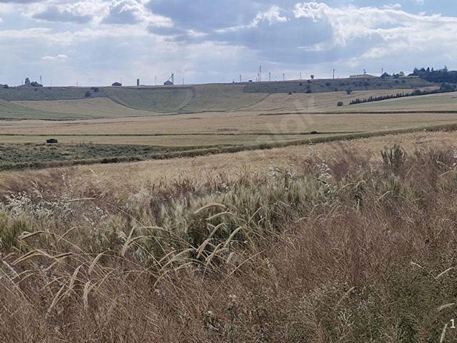 ELMADAĞ YENİMAHALLEDE TEK TAPU,22.635 M2 YOLU AÇIK TARLA