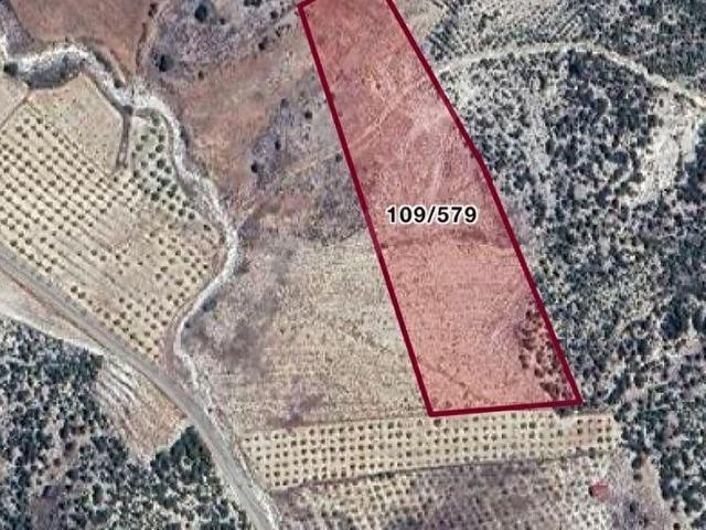 ELMAKUZU'DA SATILIK 15,393M2 TARLA