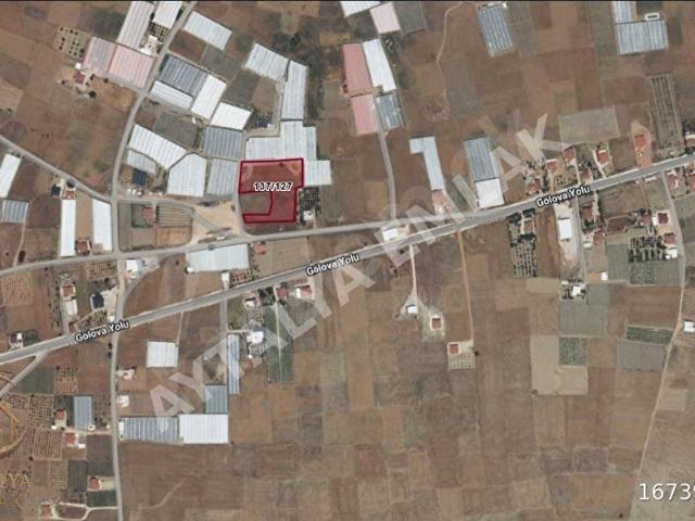 Elmalı Mürende Satılık Tarla Kaçmaz Fırsat