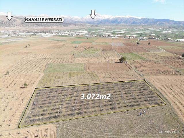 ELMALI BOZHÜYÜK MAHALLE MERKEZİNE VE ANTALYA ANAYOLUNA YAKIN MESAFEDE 3.072m2 SATILIK ÜZÜM BAĞI