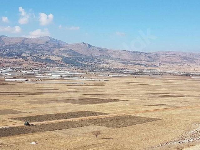 ELMALI GÖLOVAMÜREN'DE SATILIK TARLA RIZAİ TAKSİMİ YAPILMIŞ