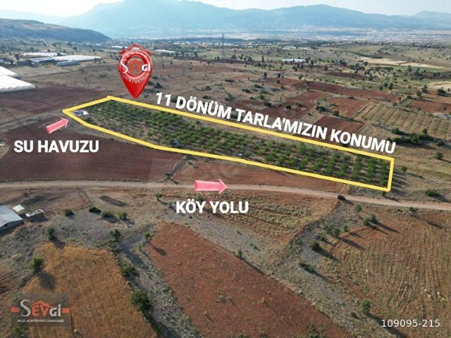 ELMALI GEÇMEN'DE 11 DÖNÜM CEVİZ BAHÇESİ SATILIKTIR