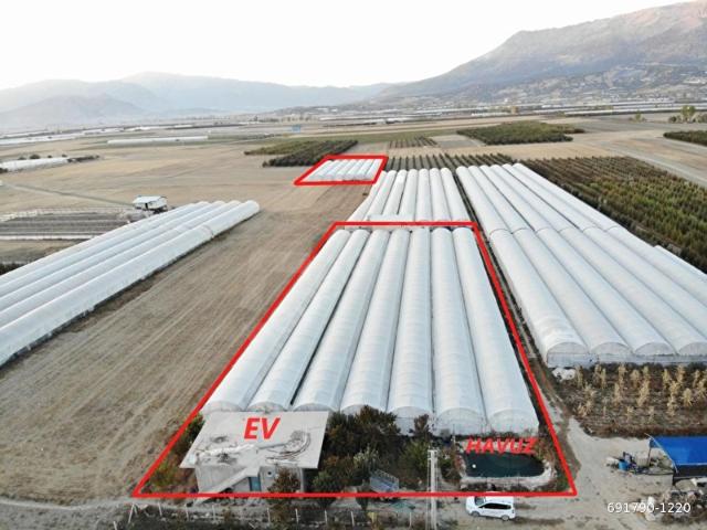 ELMALI DÜDENKÖY MAHALLESİNDE SUYU, ELEKTRİĞİ, YOLU VE EVİ BULUNAN 7500m2 SATILIK SERA