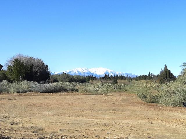 Elne Vente Terrain 66