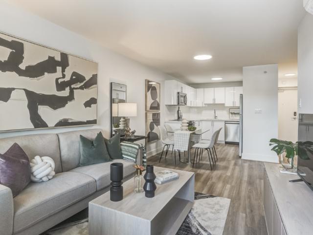 Elora One Bedroom Suites Apartment for Rent