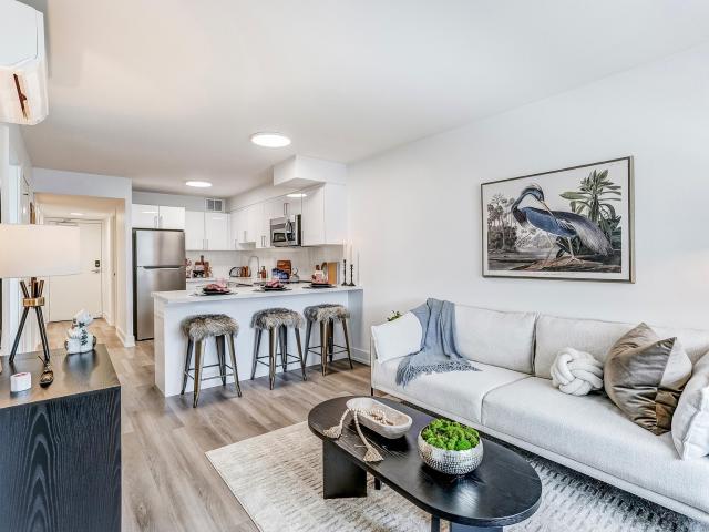 Elora One Bedroom Suites [object Promise] for Rent