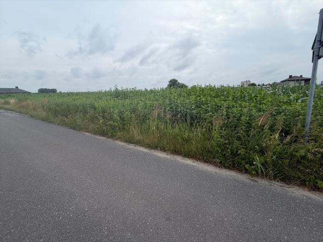 Działki budowlane w Wojciechówce, media, blisko Kalisza