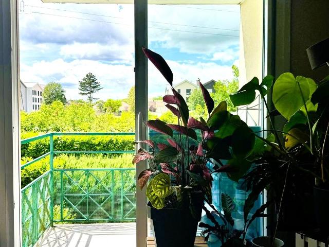 Élancourt Vente Appartement 78