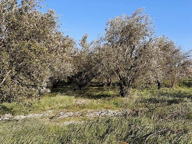 ELBEYLİ MAHALLESİ SATILIK ÜÇ YOLA CEPHE PARSEL