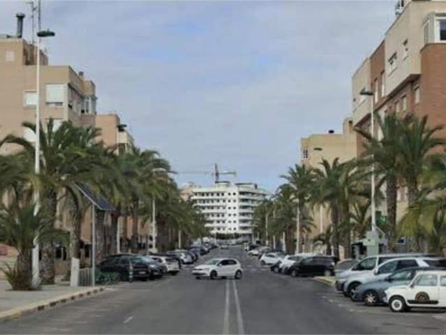 Elche / Elx