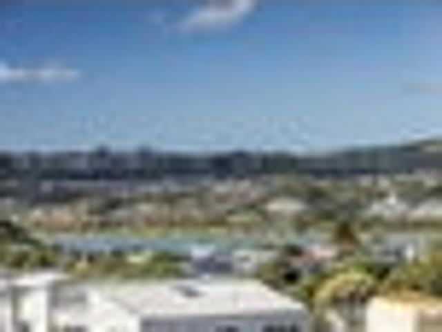 Elevated Family Living with Views in the Bay