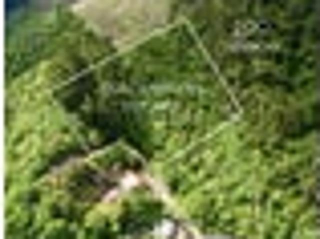 Elevated FREEHOLD land at Lake Rotoma