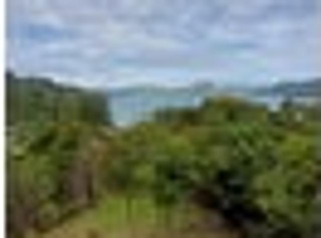 Elevated Kenepuru Sound – Views & Potential