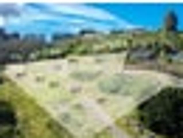 Elevated living above the Taieri