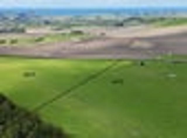 Paddock, Forest and Stream. Reduced