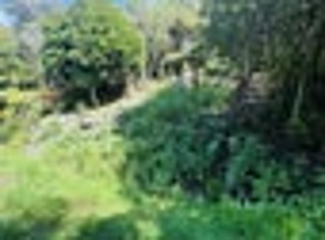 Elevated Oneroa site with future potential