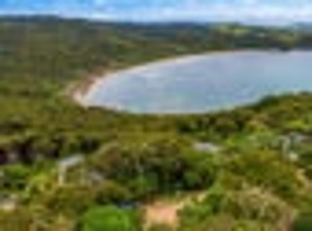 Elevated, peaceful, private sea & bush section