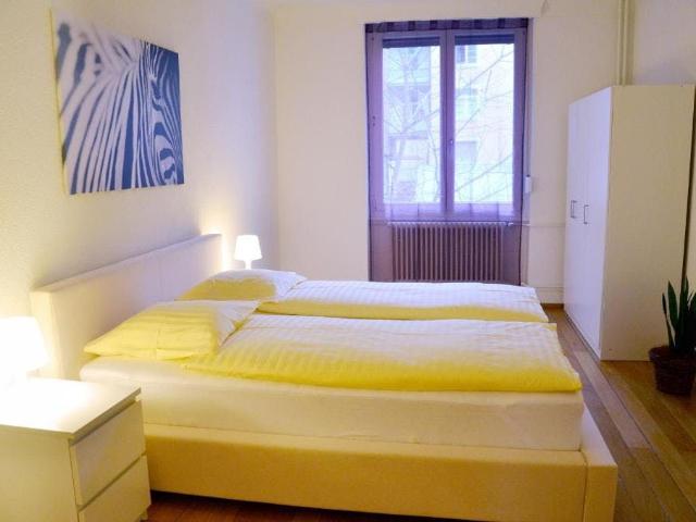 Elegant Apartment in the Heart of Basel, Basel Amsterdam Apartments for Rent