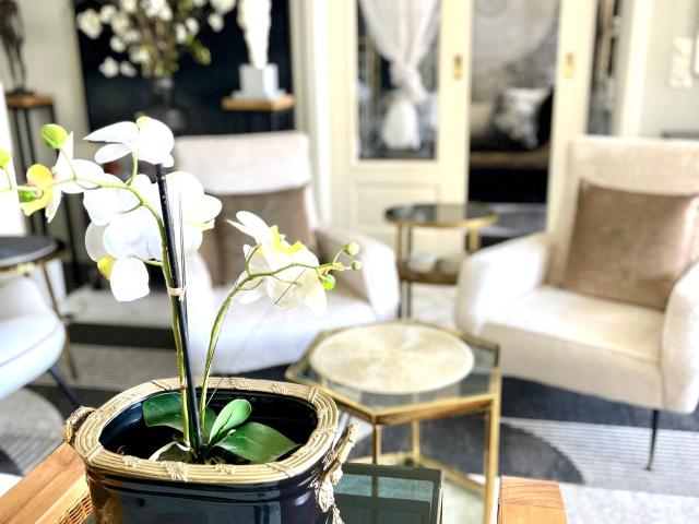 Elegant Art Deco flat Quiet & bright near everything, 2 full bathrooms, Basel Amsterdam Apartments for Rent