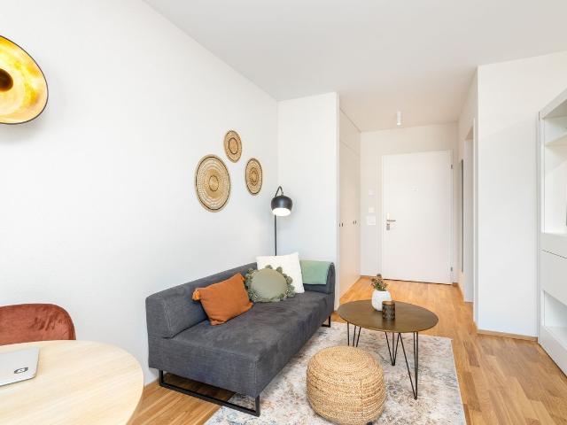 Elegant Serviced Loft in Zurich Altstetten, Zurich Amsterdam Apartments for Rent
