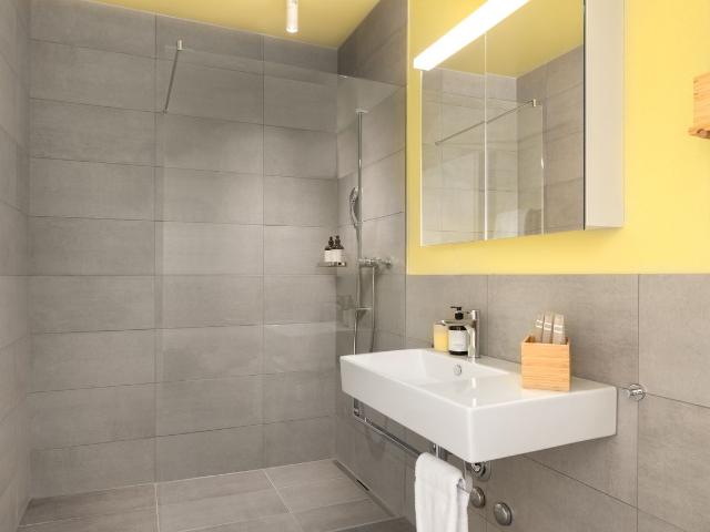Elegant Serviced Loft with Private Terrace in Zurich Altstetten, Zurich Amsterdam Apartments for Rent