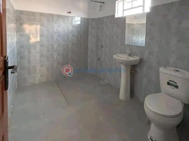 Elegant Spacious One Bedroom Apartments Is Ready For Viewing And Occupying All Rooms Are Ensuite