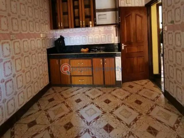 Elegant Spacious One Bedroom Apartments Is Ready For Viewing And Occupying All Rooms Are Ensuite