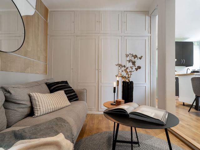 Elegant 1 Bedroom Apartment in Claudio Coello with Sofa Bed and Modern Amenities, Madrid Amsterdam Apartments for Rent