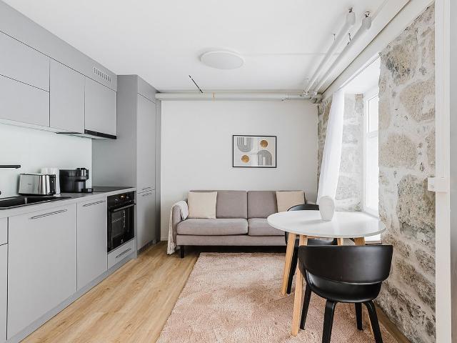 Elegant 1 Bedroom Furnished Apartment in Oberstrass, Zurich Amsterdam Apartments for Rent