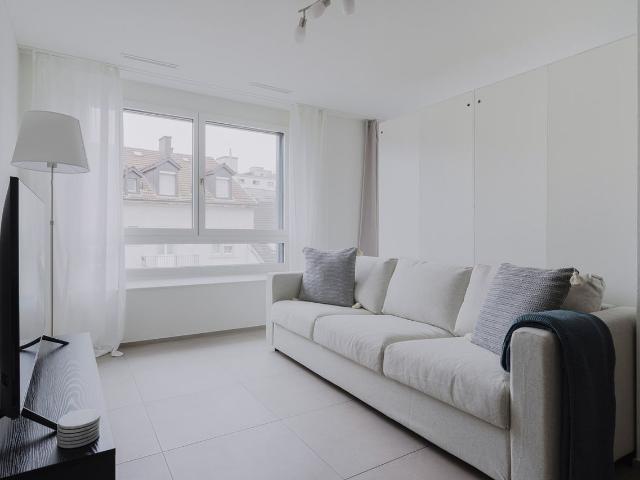 Elegant 1 Bedroom Furnished Apartment in Gewerbeschule, Zurich Amsterdam Apartments for Rent