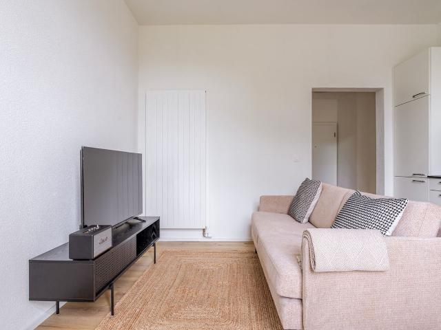 Elegant 1 Bedroom Furnished Apartment in Seebach, Zurich Amsterdam Apartments for Rent