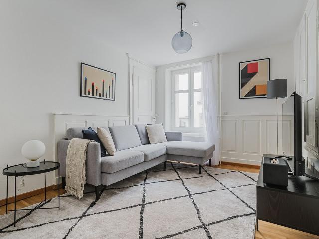 Elegant 3 Bedroom Furnished Apartment in Oberstrass, Zurich Amsterdam Apartments for Rent