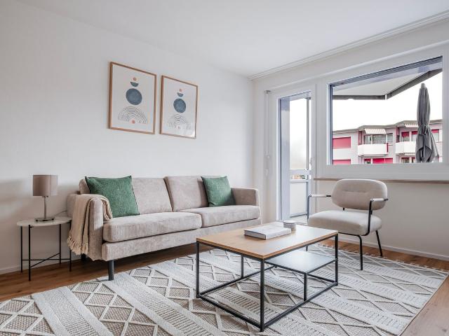 Elegant 3 Bedroom Furnished Apartment in Dietikon, Dietikon Amsterdam Apartments for Rent