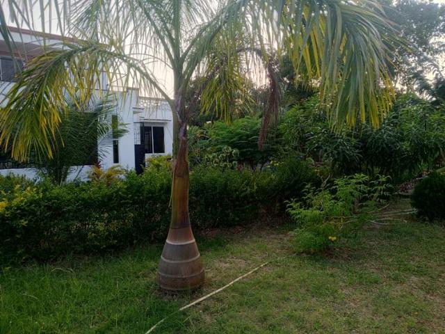 Elegant 3 Bedroom Maisonette near Kwetu Resort in Ndonya Area