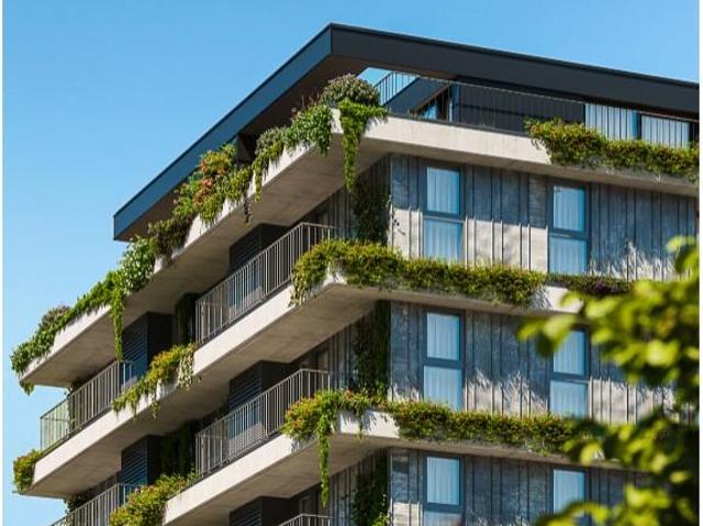 Elegante apartamento T1 em Braga 56m² Braga São Vítor