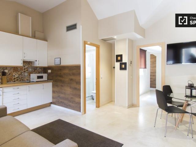 Apartamento de 1 dormitorio en alquiler en Sol, Madrid