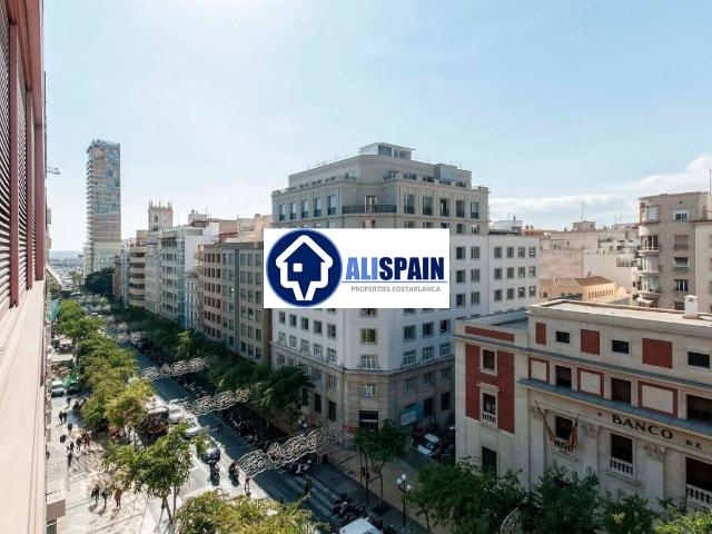 ELEGANTE E IDÍLICO EN CENTRO DE LA CIUDAD DE ALICANTE