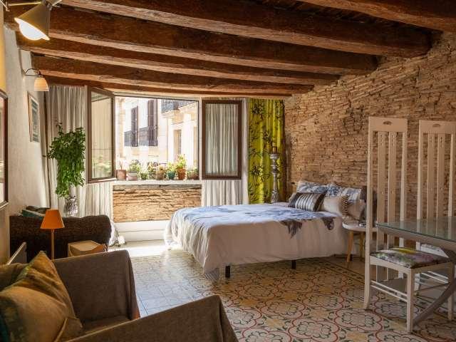 Elegante estudio en alquiler en el Born, Barcelona