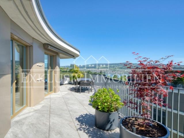 Eleganz, einzigartige Architektur und Blick über den Zürichsee