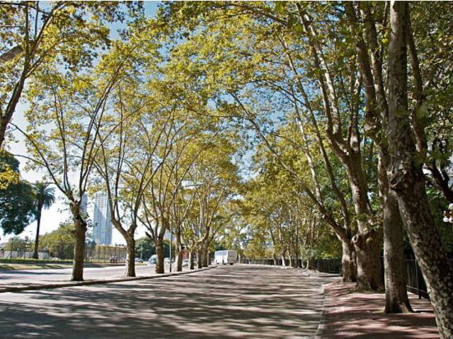 Elegancia, amplitud en una de las mejores zonas de Mataró
