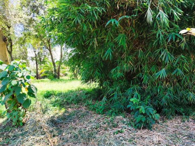 Elgon View with this expansive half acre plot