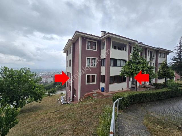 Elite Gd & Düzce/merkez Kalıcı Konutlarda Arakat Kiralık 3+1