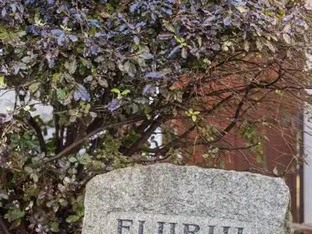 Eljirih, 7 Pemberton, Herbert Road, Bray, A98 WR23