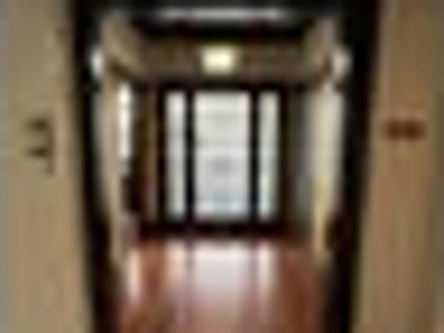 Ellerslie, 4 bedrooms, $980 pw